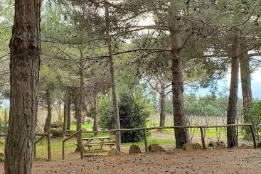 田舎風ホテル Agriturismo Il Cocco