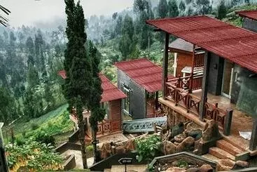 Hotel Bromo Cottages