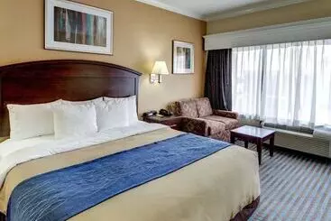 Otel Comfort Inn Corsicana East