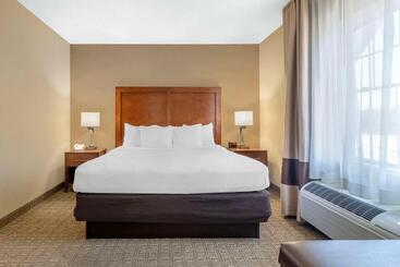 ホテル Comfort Inn & Suites Dover Portsmouth