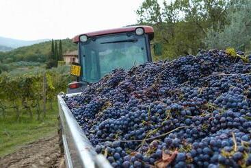 צימר Terre Di Baccio