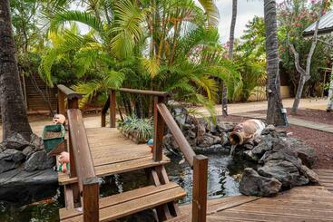 هتل آپارتمان Hôtel Coco Island