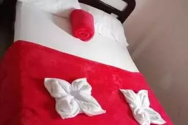Alberg Hostal Palmas De Cocora