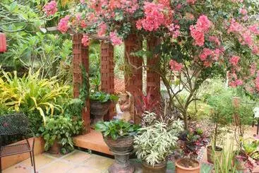 Hostel Rock Inn Bailan