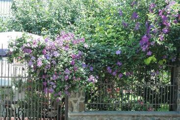 بنسيون Casa La Musteata