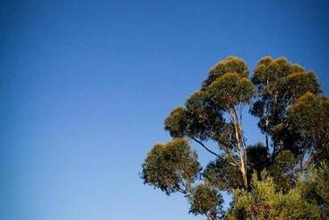 Hotel Kweekkraal Guest Farm