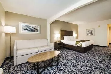 ホテル Quality Suites Houston Hobby Airport