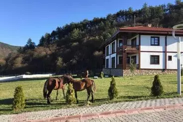هتل Mengen Rüya çiftliği