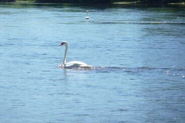膳宿费 Domaine De Grande Font