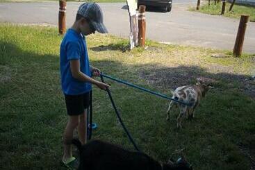 هتل روستایی Zoopark Zelčín