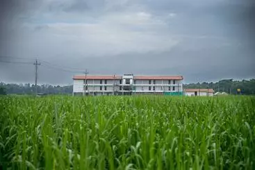 Starling River Resort