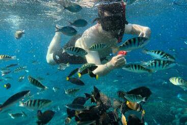 Pensión Jiva Bungalow