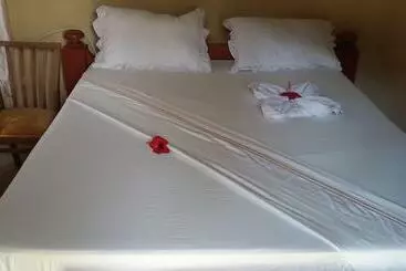 ベッドアンドブレックファースト Ukerewe Garden View Bungalow At Bwiru Village Homestay