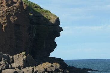 The Home Arms Cottage