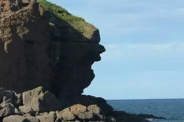 The Home Arms Cottage