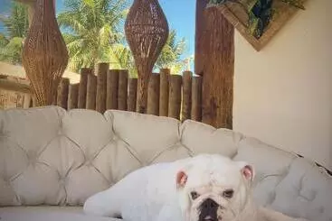 ペンション Akua Concept   Taipu De Fora