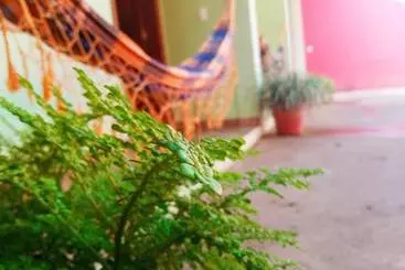 ペンション Pousada Essência Da Serra