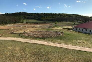 Bed and Breakfast Prosper Lovasklub Panzió