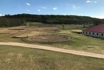 Aamiaismajoitus (B&B) Prosper Lovasklub Panzió