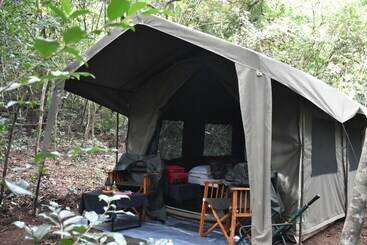 Hotel Explorer By Eco Team   Knuckles