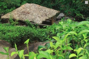 Hotel The Wild Spring