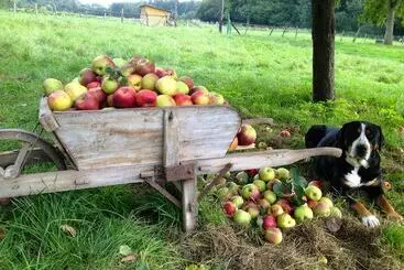 Bed and Breakfast La Ferme Des Isles
