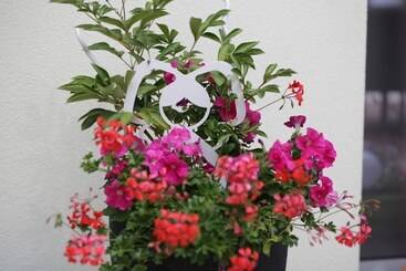 مبيت وإفطار La Rose Trémière