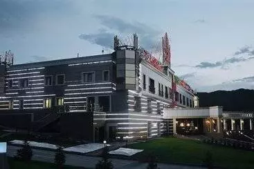 Hotel Altai Palace