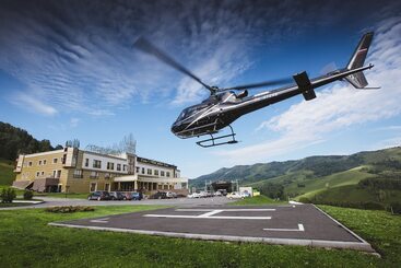 בית מלון כפרי Altai Palace