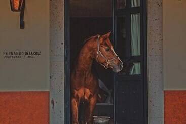 Kır Oteli Chalet De Colombo