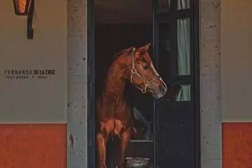 田舎風ホテル Chalet De Colombo