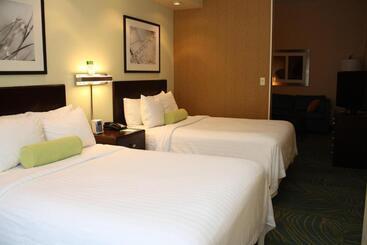 Otel Springhill Suites Morgantown