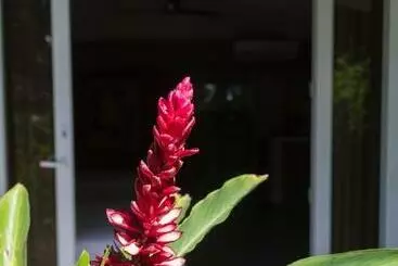 Guácima Escondida Hotel Boutique