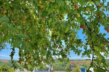 בית מלון כפרי Hilltop Borbirtok & étterem