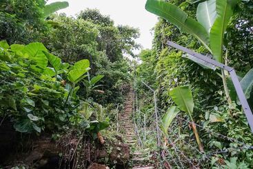 بنسيون Villa Robert