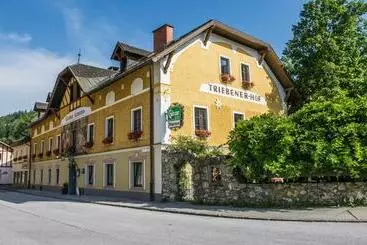 Pensión Triebenerhof