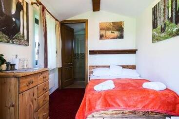 Pensiunea Vis Alpin Belis