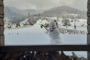 호텔 Pensiunea Sanziene