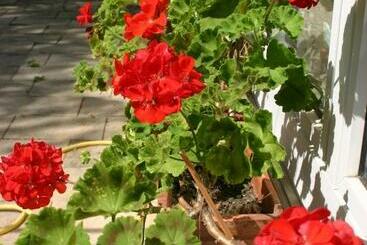 مبيت وإفطار Bois Joli De La Freyère