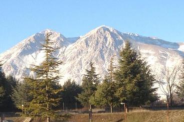 住宿加早餐 La Collina Di Peppino