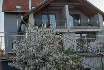 ベッドアンドブレックファースト Villa Rigo Panzió