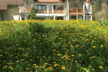 Pension Guest House Rest