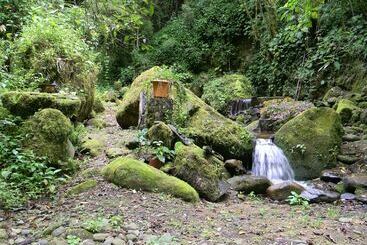 Casa San Rafael Del Pedregoso B&b Y Jardín Botánico