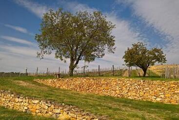 פנסיון Zsirai Guest House