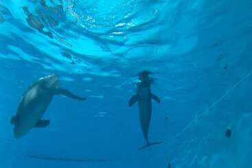 פנסיון Miyajima Machiya Hotel Shiomachi An