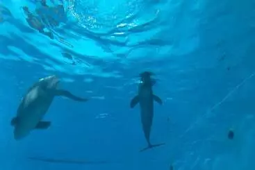 Pension Miyajima Machiya Hotel Shiomachi An