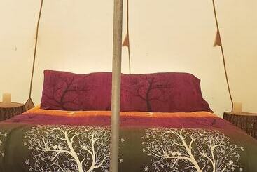 בית מלון כפרי Sassy Springs Retreat