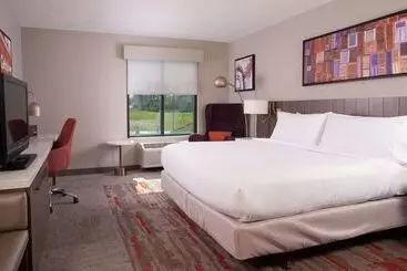 Otel Hilton Garden Inn Atlanta Airport/millenium Center