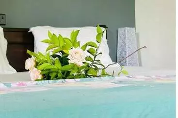 Bed and Breakfast Amour At Turtle Beach