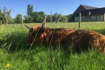 ペンション Rouge Maison